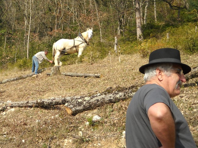013-chantier-debardage-Rully-2012-014.jpeg.medium.jpeg