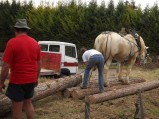028-chantier-debardage-Rully-2012-029.jpeg.small.jpeg