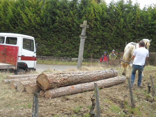 029-chantier-debardage-Rully-2012-030.jpeg.medium.jpeg