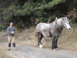 031-chantier-debardage-Rully-2012-032.jpeg.small.jpeg