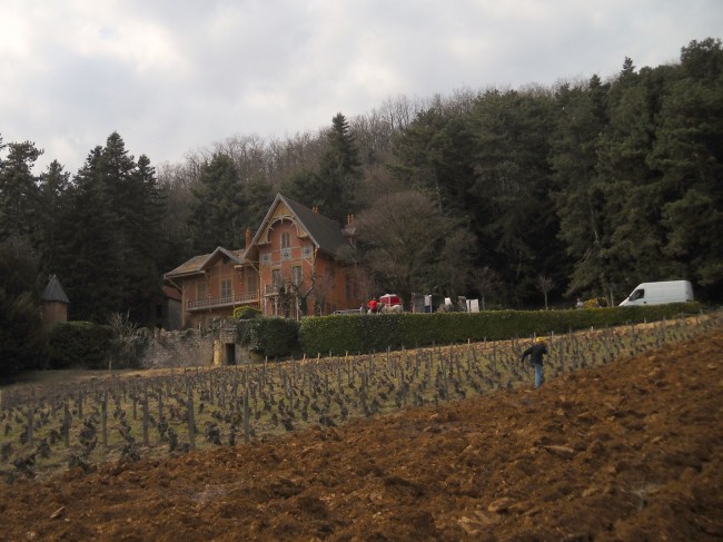 034-chantier-debardage-Rully-2012-035.jpeg.medium.jpeg
