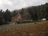 034-chantier-debardage-Rully-2012-035.jpeg.small.jpeg