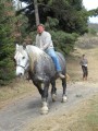 035-chantier-debardage-Rully-2012-036.jpeg.small.jpeg
