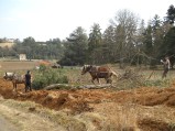 042-chantier-debardage-Rully-2012-043.jpeg.small.jpeg