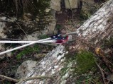 067-chantier-debardage-Rully-2012-068.jpeg.small.jpeg