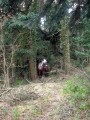 068-chantier-debardage-Rully-2012-069.jpeg.small.jpeg