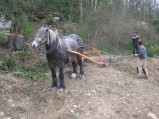 078-chantier-debardage-Rully-2012-079.jpeg.small.jpeg