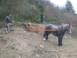 080-chantier-debardage-Rully-2012-081.jpeg.small.jpeg