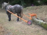 083-chantier-debardage-Rully-2012-084.jpeg.small.jpeg