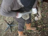 085-chantier-debardage-Rully-2012-086.jpeg.small.jpeg