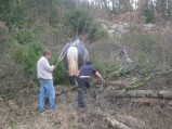 087-chantier-debardage-Rully-2012-088.jpeg.small.jpeg