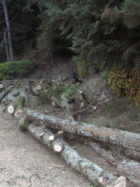 089-chantier-debardage-Rully-2012-090.jpeg.medium.jpeg