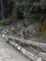 089-chantier-debardage-Rully-2012-090.jpeg.small.jpeg