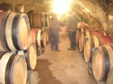 091-chantier-debardage-Rully-2012-092.jpeg.small.jpeg