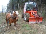 img001.jpeg.small.jpeg
