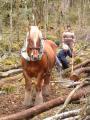 img013.jpeg.small.jpeg