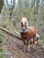 img015.jpeg.small.jpeg