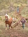 img020.jpeg.small.jpeg