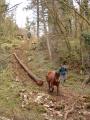img027.jpeg.small.jpeg
