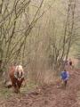 img033.jpeg.small.jpeg
