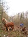 img037.jpeg.small.jpeg