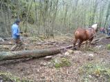 img040.jpeg.small.jpeg