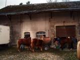 img041.jpeg.small.jpeg