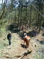 img052.jpeg.small.jpeg
