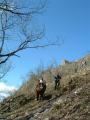 img065.jpeg.small.jpeg