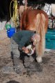 005-dsc_0014.jpg.small.jpeg
