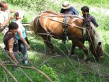 031-IMG_0667.JPG.small.jpeg