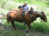 032-IMG_0668.JPG.small.jpeg