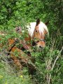 033-IMG_0673.JPG.small.jpeg