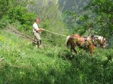 034-IMG_0675.JPG.small.jpeg
