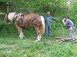035-IMG_0678.JPG.small.jpeg