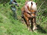 037-IMG_0680.JPG.small.jpeg
