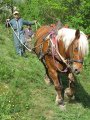 038-IMG_0681.JPG.small.jpeg