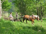 041-IMG_0687.JPG.small.jpeg