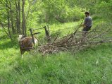 042-IMG_0688.JPG.small.jpeg
