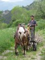 043-IMG_0690.JPG.small.jpeg