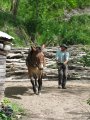 045-IMG_0695.JPG.small.jpeg