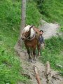 046-IMG_0698.JPG.small.jpeg