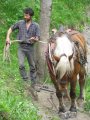 047-IMG_0699.JPG.small.jpeg
