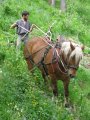 048-IMG_0701.JPG.small.jpeg