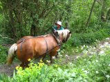 051-IMG_4247.JPG.small.jpeg