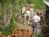 052-IMG_4260.JPG.small.jpeg