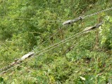 010-mt-denis-Ch-Ec-2011-11.jpeg.small.jpeg