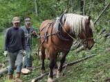 036-mt-denis-Ch-Ec-2011-37.jpeg.small.jpeg