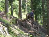 ../thumbnails/006-100_2630.jpeg.small.jpeg