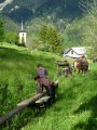 ../thumbnails/047-P1020412.jpeg.small.jpeg
